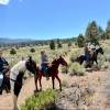 Starlight Equestrian Ranch S.A.
