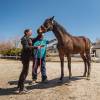 Starlight Equestrian Ranch S.A.