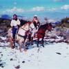 Caballerizas y zoológico de mascotas de Baldwin Lake