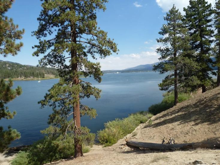 Una vista a pie de calle de la orilla del lago Big Bear: hay una pendiente de tierra que conduce hasta el agua y los árboles que se ven más abajo.