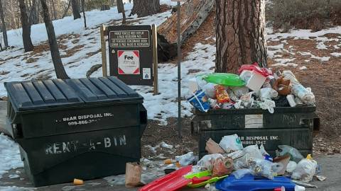 limpieza medioambiental con Nativescapes