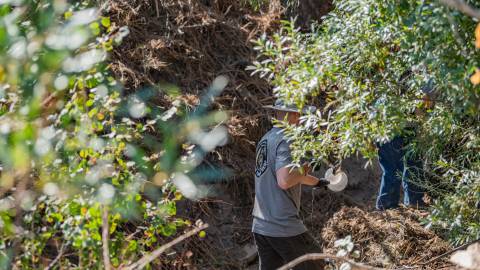 Voluntarios retiran la basura del lecho de un arroyo durante una limpieza de Care For Big Bear.