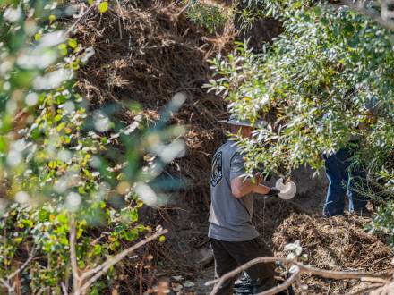 Voluntarios retiran la basura del lecho de un arroyo durante una limpieza de Care For Big Bear.