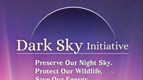 Una versión digital de un folleto imprimible para la iniciativa «Big Bear Dark Sky»: un llamamiento a la conservación de nuestros cielos nocturnos oscuros.