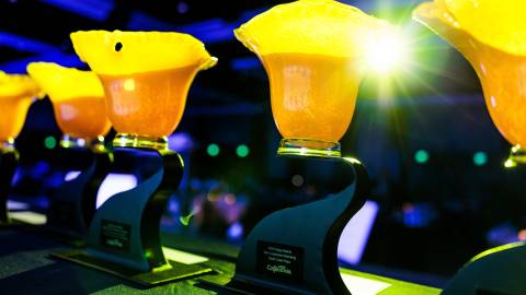 Una fila de premios Visit California Poppy Awards de color naranja sobre una mesa en la presentación de los premios Poppy Awards 2022.