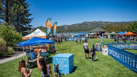 Una foto del evento Puptopia con hierba verde, gente hablando, perros con sus dueños y vendedores al fondo.