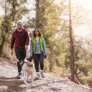 Una pareja pasea a su perro por un sendero apto para mascotas en Big Bear Lake. El sol brilla y los verdes pinos les rodean.