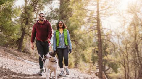 Una pareja pasea a su perro por un sendero apto para mascotas en Big Bear Lake. El sol brilla y los verdes pinos les rodean.