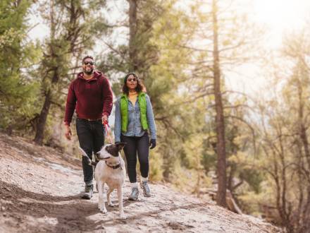 Una pareja pasea a su perro por un sendero apto para mascotas en Big Bear Lake. El sol brilla y los verdes pinos les rodean.