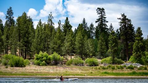 Un kayakista rema por la orilla del lago Big Bear. En la orilla se ven arbustos verdes y pinos.