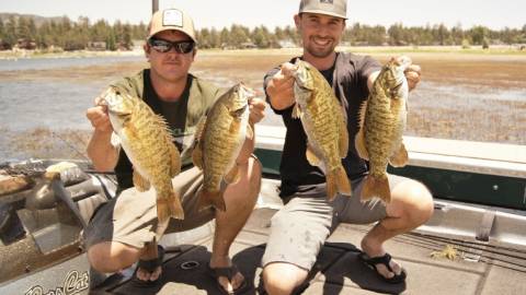 la pesca de la lubina en el lago big bear