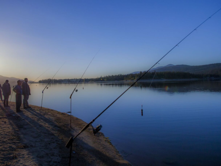 Un grupo de pescadores controla sus sedales en Big Bear Lake