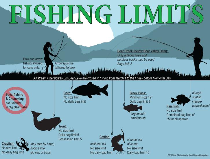 Big Bear Lake Límites de pesca infografía que muestra información sobre los límites de pesca de diferentes especies