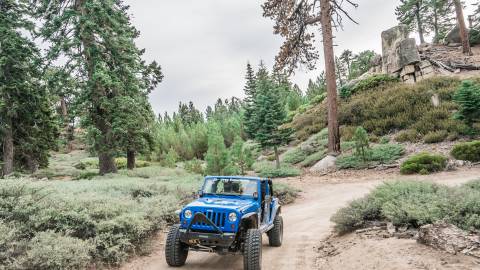 Un Jeep azul atraviesa los bosques de Big Bear