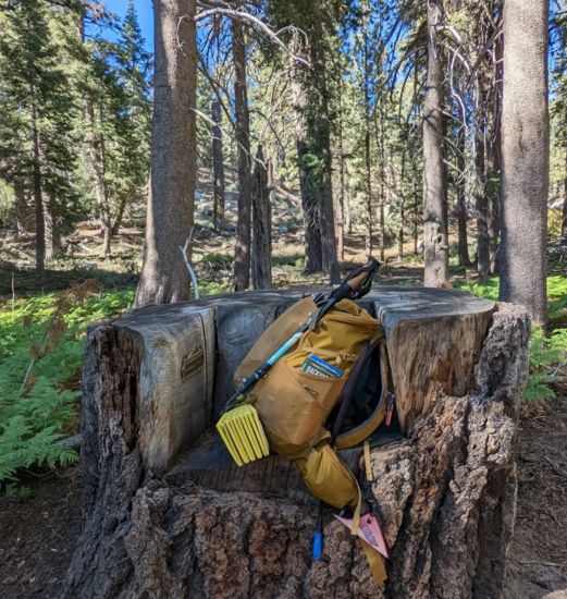 A bag of hiking equipment resting in a chair like divot in a tree stump, behind is a dense forest with hills.