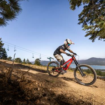 Un ciclista de montaña desciende por un sendero en Big Bear Lake, California. Pasa junto a un pino verde y la estatua tallada de un perro.