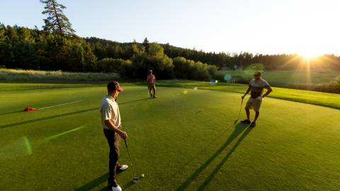 Tres golfistas de pie sobre el exuberante green, preparándose para dar un putt en el campo de golf Bear Mountain, con el sol, las montañas y los árboles al fondo.