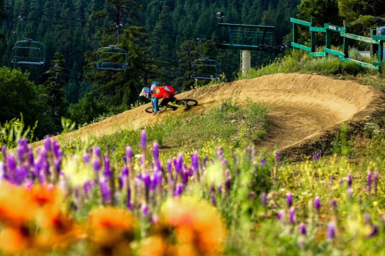 Un ciclista de montaña desciende por una empinada curva en el Summit Bike Park de Big Bear, California. En primer plano, coloridas flores silvestres.
