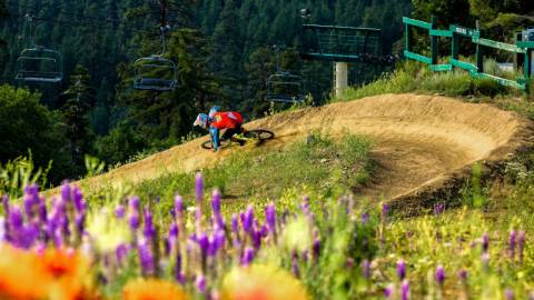 Un ciclista de montaña desciende por una empinada curva en el Summit Bike Park de Big Bear, California. En primer plano, coloridas flores silvestres.