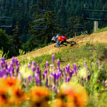 Un ciclista de montaña desciende por una empinada curva en el Summit Bike Park de Big Bear, California. En primer plano, coloridas flores silvestres.