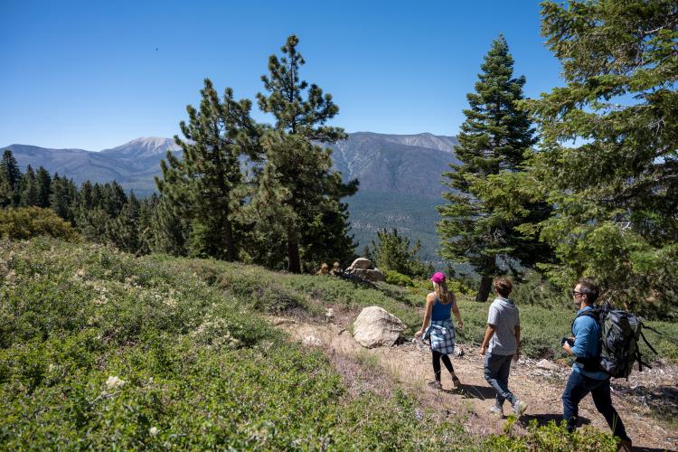 Una familia de tres miembros camina por un sendero en Big Bear, California. Están rodeados por un bosque de pinos verdes y un cielo azul despejado.