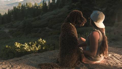 Una mujer sentada junto a su perro en una ruta de senderismo de Big Bear, en Snow Summit; la luz del sol ilumina suavemente el suelo.