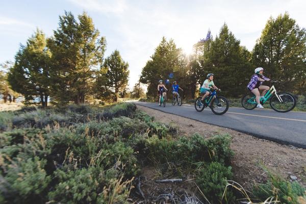 Una familia de dos adultos y dos niños en bicicleta por la carretera junto a frondosos árboles verdes y la luz del sol asomando entre las hojas.