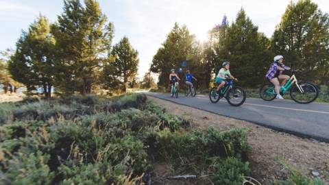 Una familia de dos adultos y dos niños en bicicleta por la carretera junto a frondosos árboles verdes y la luz del sol asomando entre las hojas.