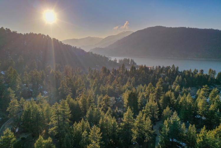 Un bosque de pinos verdes conduce a un lago azul. El sol brilla y el cielo está despejado.