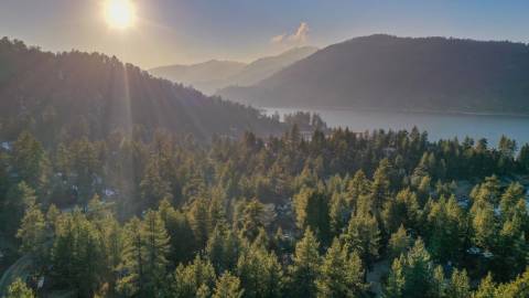 Un bosque de pinos verdes conduce a un lago azul. El sol brilla y el cielo está despejado.