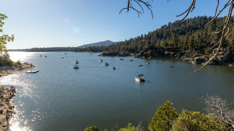 Los barcos flotan en el lago Big Bear rodeados de un bosque verde.