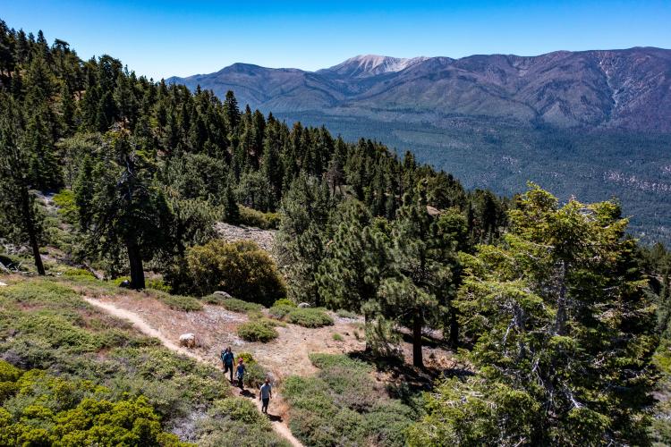 Una familia de tres miembros recorre una pista forestal en Big Bear Lake. Los picos nevados se ven a lo lejos.