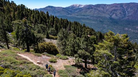 Una familia de tres miembros recorre una pista forestal en Big Bear Lake. Los picos nevados se ven a lo lejos.