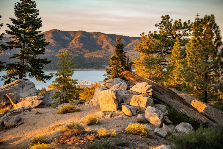Una vista de Big Bear Lake a través de los árboles desde la ruta de senderismo Castle Rock en la temporada de otoño. Es la puesta de sol.