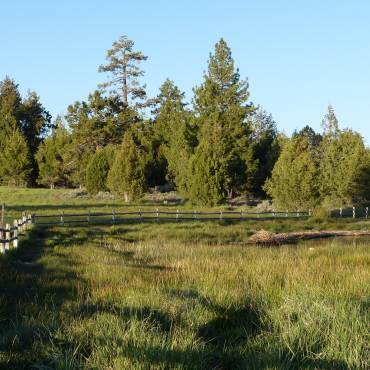 Una foto de una exuberante orilla verde del lago, hay una pequeña valla de madera a una distancia mediana del lago Big Bear.