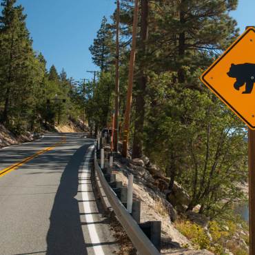 Foto de una señal de cruce de osos que advierte a los conductores de posibles cruces de osos en una carretera con vistas al lago Big Bear.