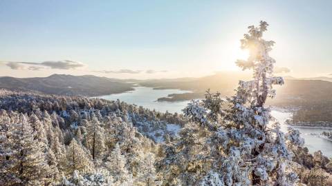 Un árbol nevado se alza sobre un valle nevado de Big Bear Lake.