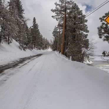 Una señal amarilla con la silueta de un oso marca una carretera nevada en Big Bear. Pinos verdes bordean la carretera a ambos lados.