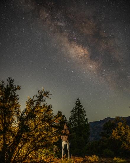 A person standing in the middle of a forest looking up towards the visible bright night stars, a galaxy accompanying them.