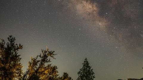 Una persona de pie en medio de un bosque mirando hacia las brillantes estrellas nocturnas visibles, una galaxia acompañándolas.