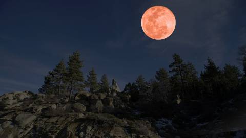 Una foto de una gran luna de sangre de color rosa rojizo sobre un denso bosque y una pequeña colina rocosa.