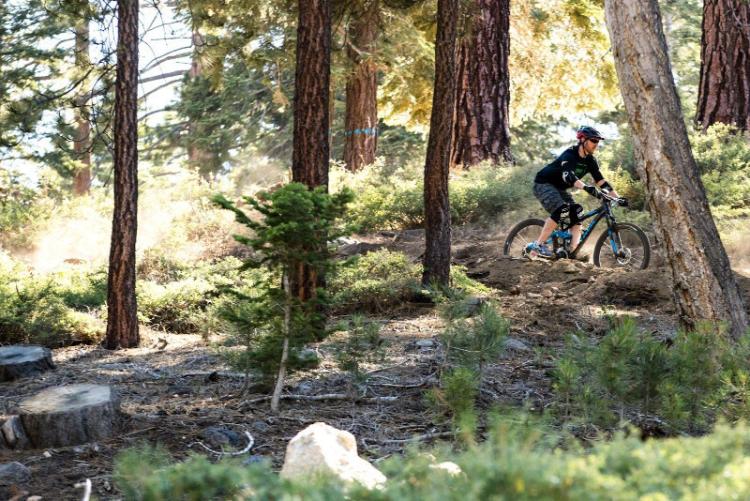 Hombre en bicicleta de montaña en terreno accidentado por el bosque en Big Bear Lake, California