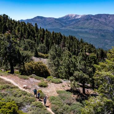 Una familia de tres miembros camina por un sendero en Big Bear Lake, California, a través de un valle boscoso. A lo lejos se ve una montaña.