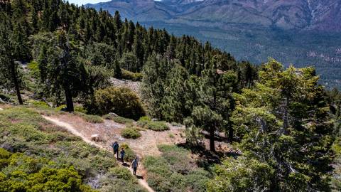 Una familia de tres miembros camina por un sendero en Big Bear Lake, California, a través de un valle boscoso. A lo lejos se ve una montaña.