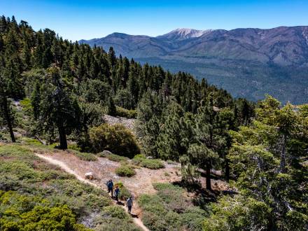 Una familia de tres miembros camina por un sendero en Big Bear Lake, California, a través de un valle boscoso. A lo lejos se ve una montaña.
