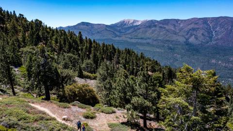 Una familia de tres miembros camina por un sendero en Big Bear Lake, California, a través de un valle boscoso. A lo lejos se ve una montaña.