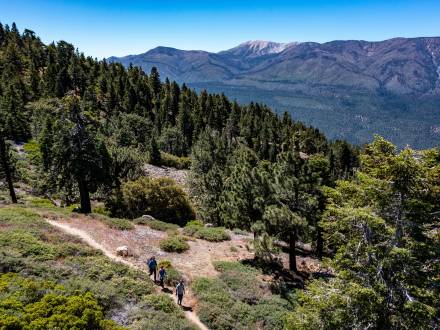 Una familia de tres miembros camina por un sendero en Big Bear Lake, California, a través de un valle boscoso. A lo lejos se ve una montaña.
