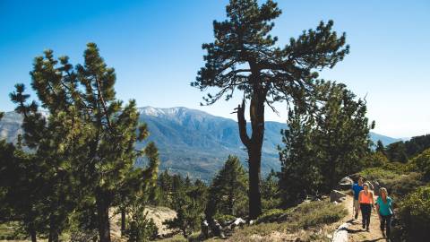 Una familia recorre un sendero por las montañas de Big Bear en primavera