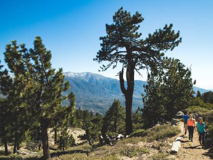 Una familia recorre un sendero por las montañas de Big Bear en primavera
