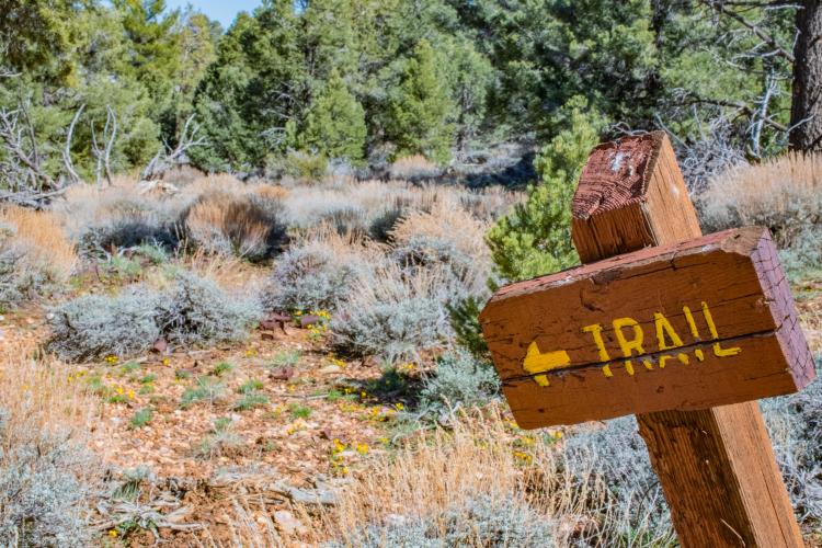 Un indicador de madera conduce a un sendero designado en Big Bear Lake, parte del Bosque Nacional de San Bernardino.